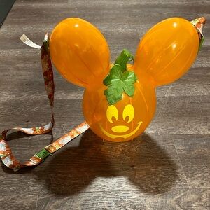 Disney World Popcorn Bucket